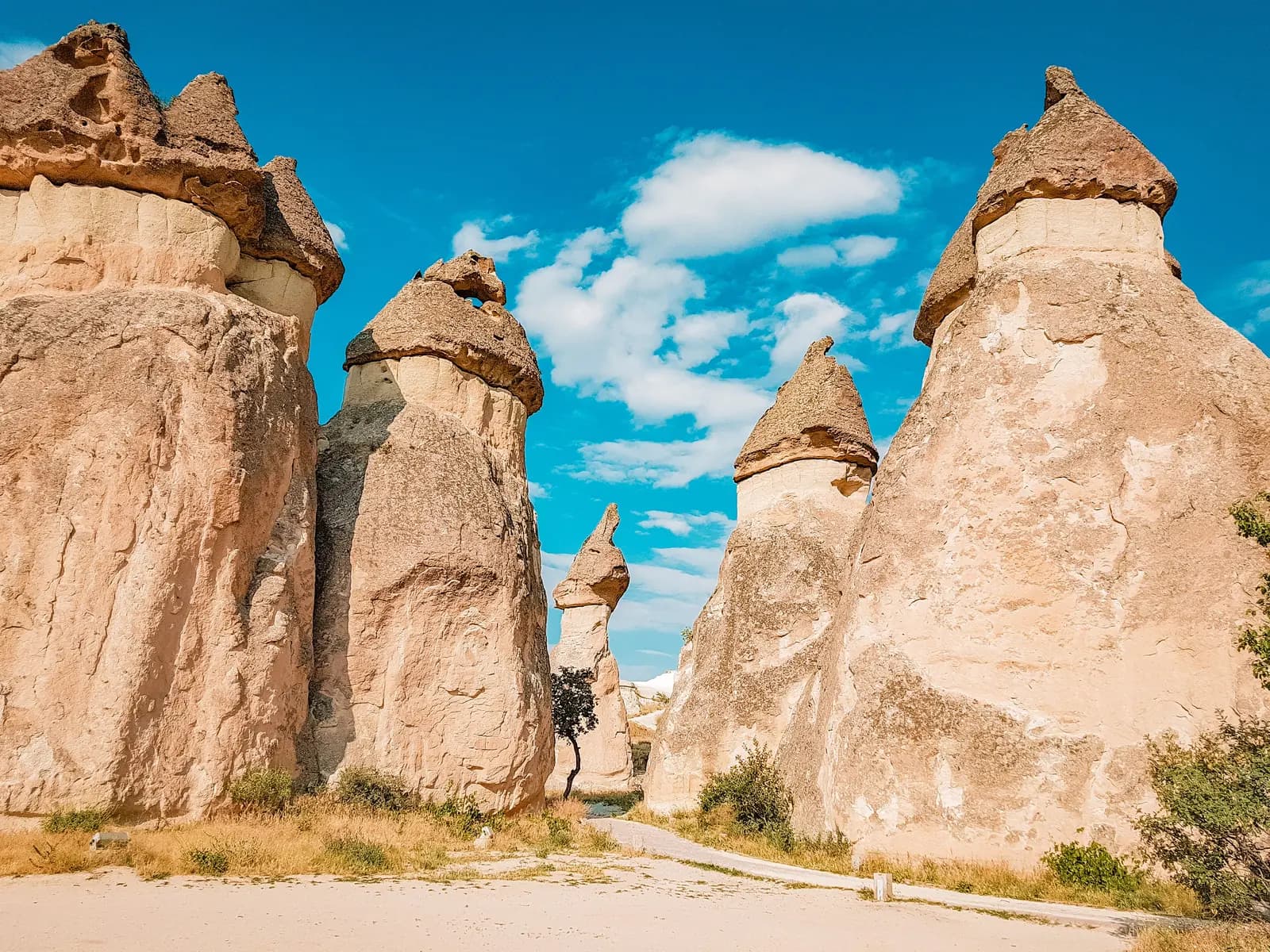 Fairy chimneys of Pasabag (Monks Valley), Cappadocia