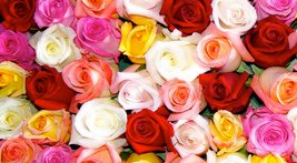 Horticulture and Culture Tour Horticulture and Culture Tour