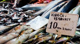 Fish Markets