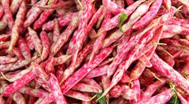 Culinary Delights Tour Culinary Delights Tour